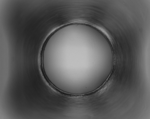 X0000095550999200712140932