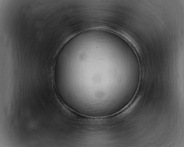 X0000095551001200712140932