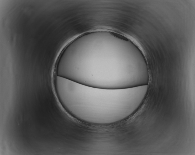 X0000095551003200712140932