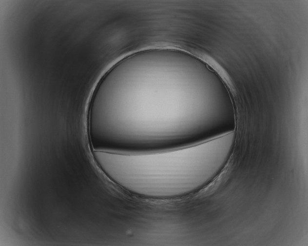X0000095551004200712140932