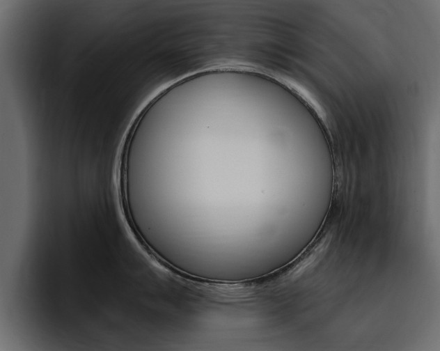X0000095551007200712140931