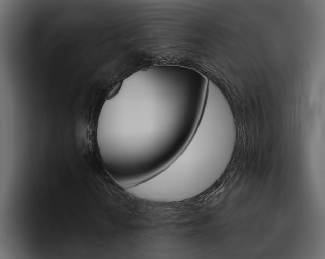 X0000095551010200712140931
