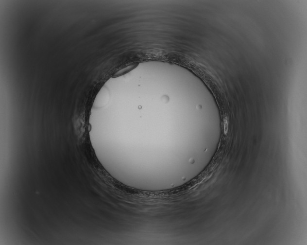 X0000095551011200712140931