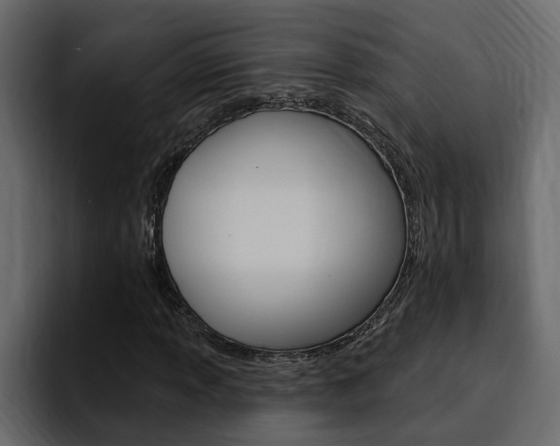 X0000095551013200712140931