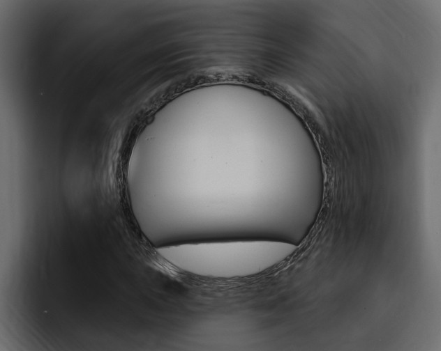 X0000095551015200712140931