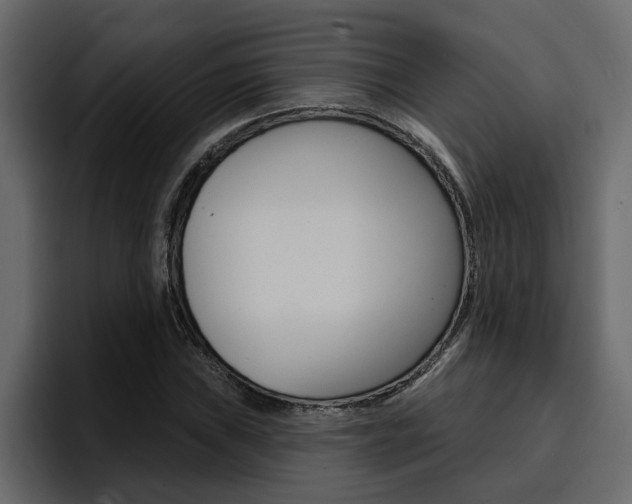 X0000095551019200712140931