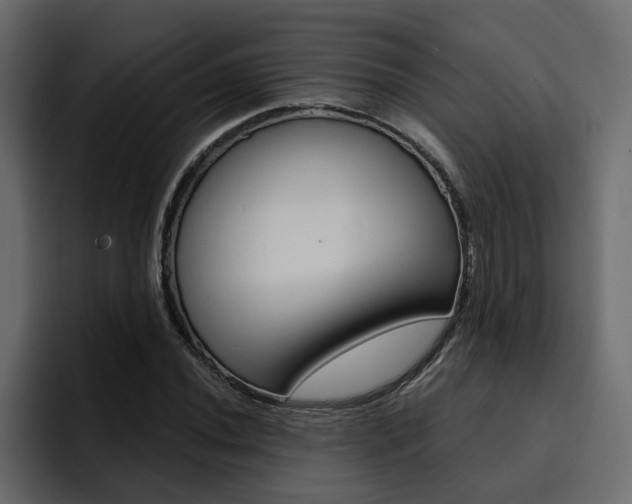 X0000095551020200712140931