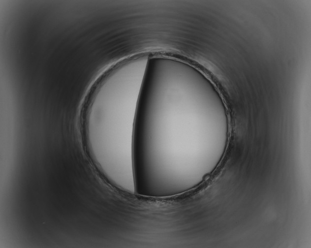 X0000095551022200712140931