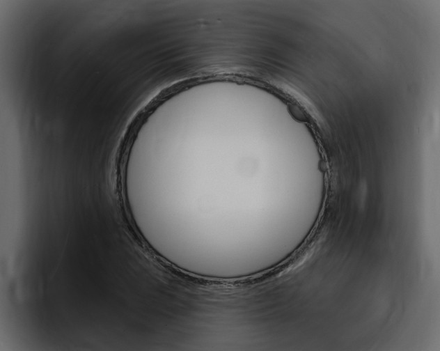 X0000095551023200712140931