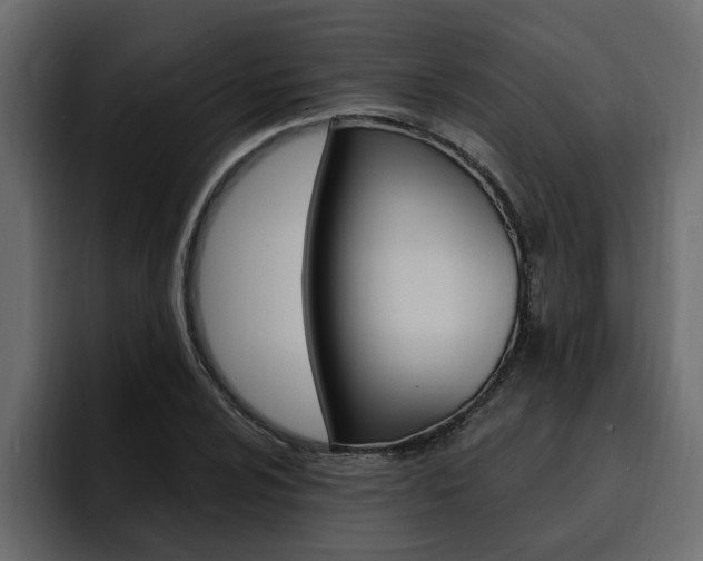 X0000095551024200712140931