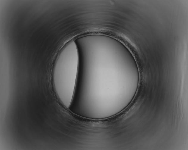 X0000095551025200712140931