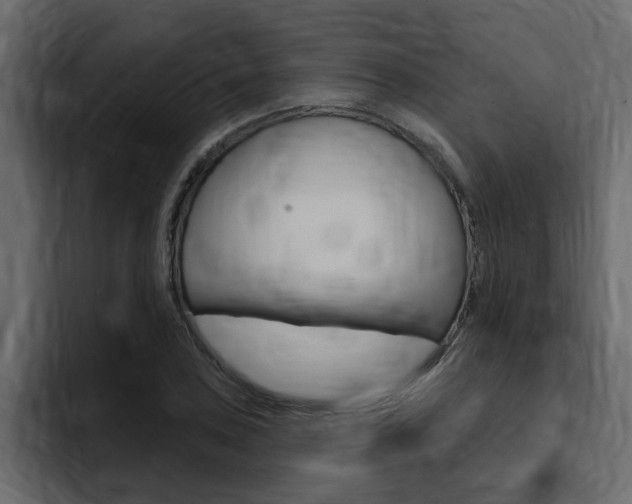 X0000095551027200712140931