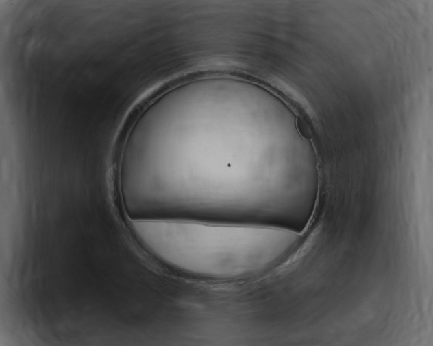 X0000095551029200712140931
