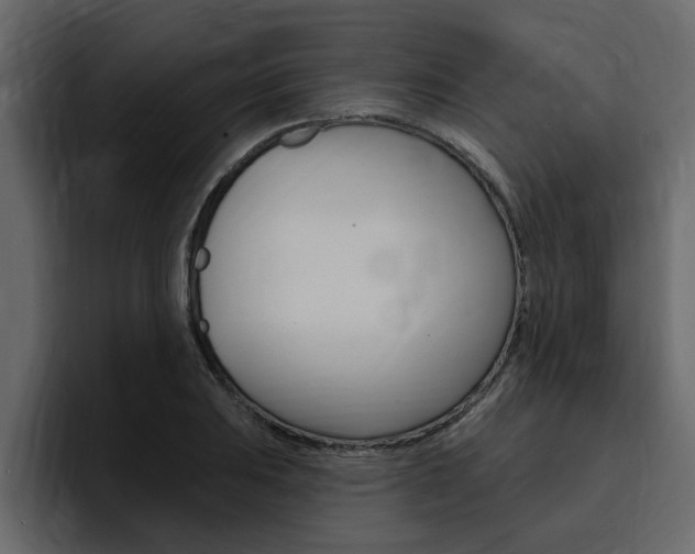 X0000095551031200712140931