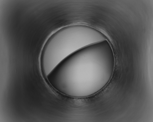 X0000095551032200712140931