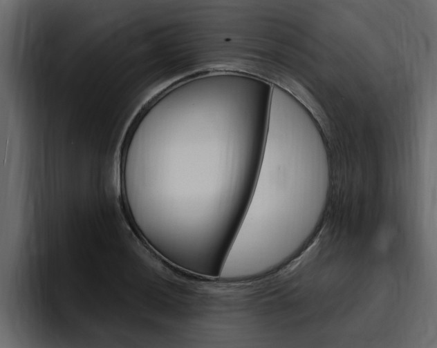 X0000095551036200712140931