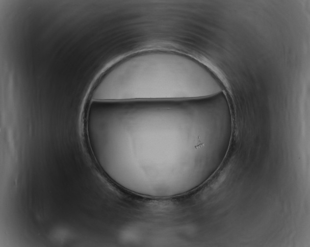 X0000095551037200712140931