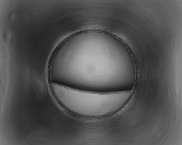 X0000095551038200712140931