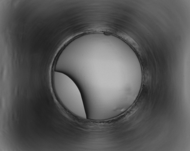 X0000095551039200712140931