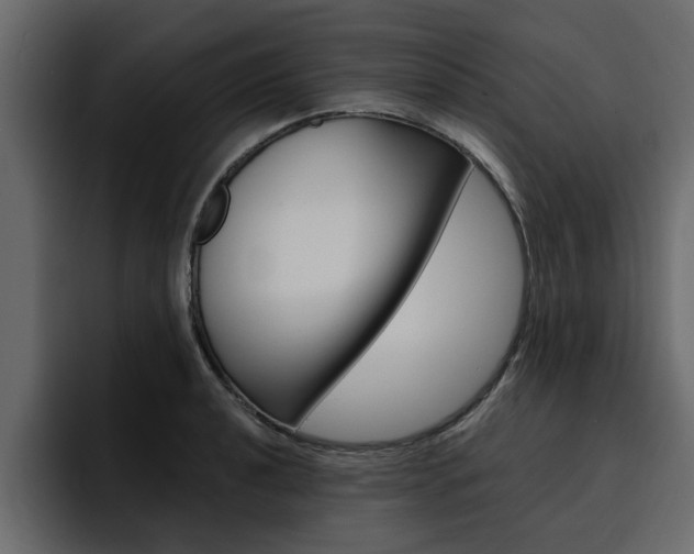 X0000095551040200712140931