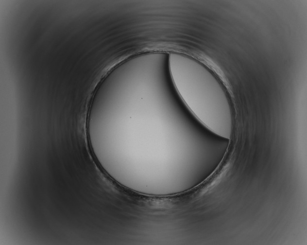 X0000095551041200712140931
