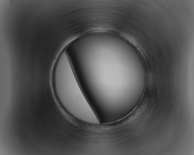 X0000095551042200712140931
