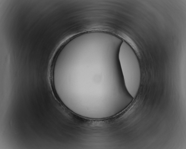 X0000095551043200712140931