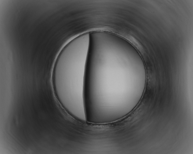 X0000095551044200712140931