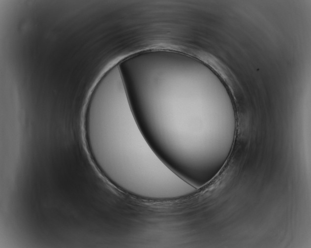 X0000095551048200712140931