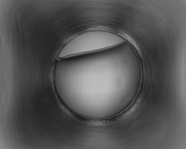 X0000095551049200712140931
