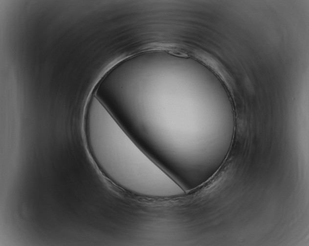 X0000095551050200712140931