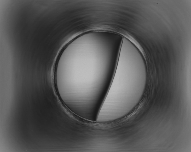 X0000095551053200712140931