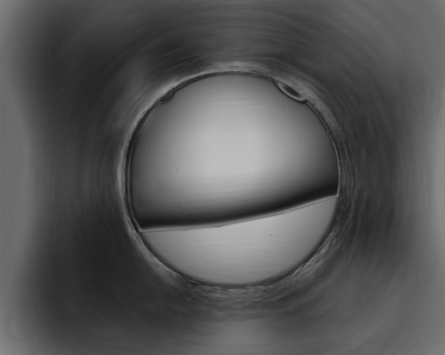 X0000095551054200712140931