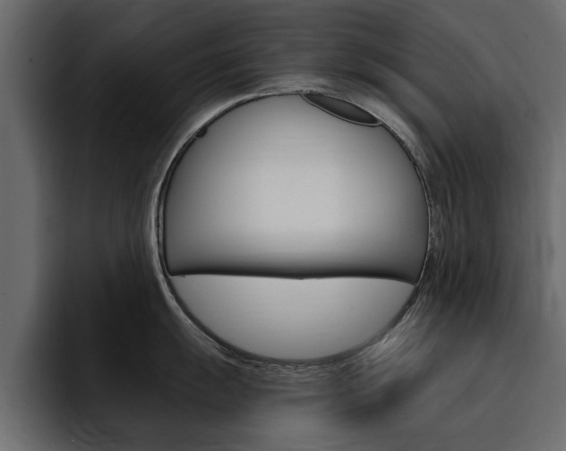 X0000095551055200712140931