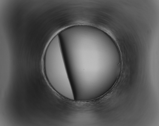 X0000095551056200712140931