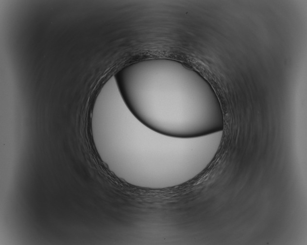 X0000095551057200712140931