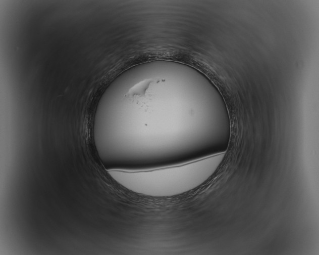 X0000095551058200712140931