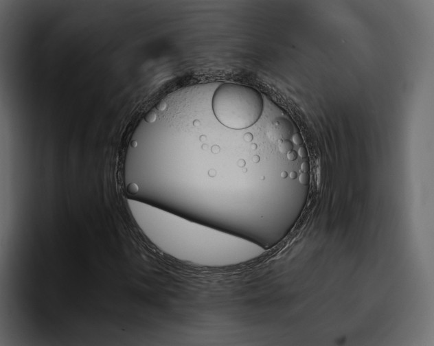 X0000095551059200712140931