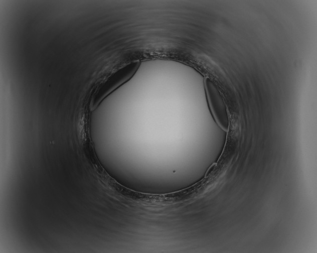 X0000095551060200712140931