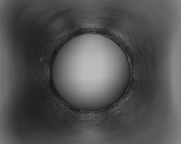 X0000095551061200712140931