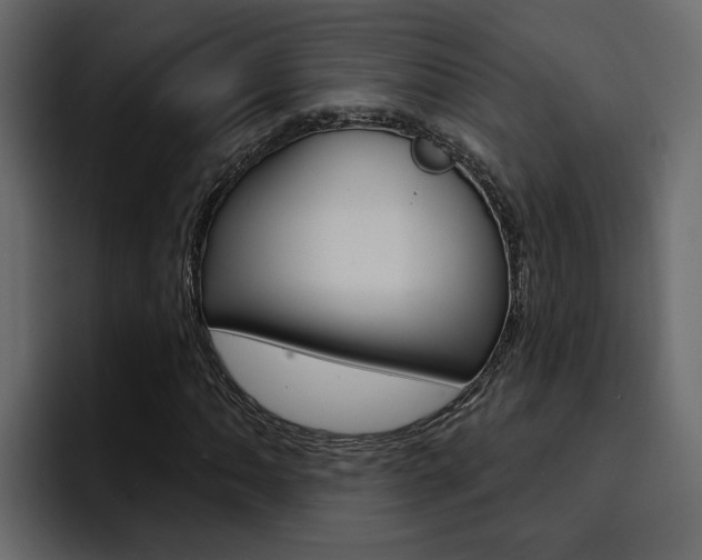 X0000095551062200712140931