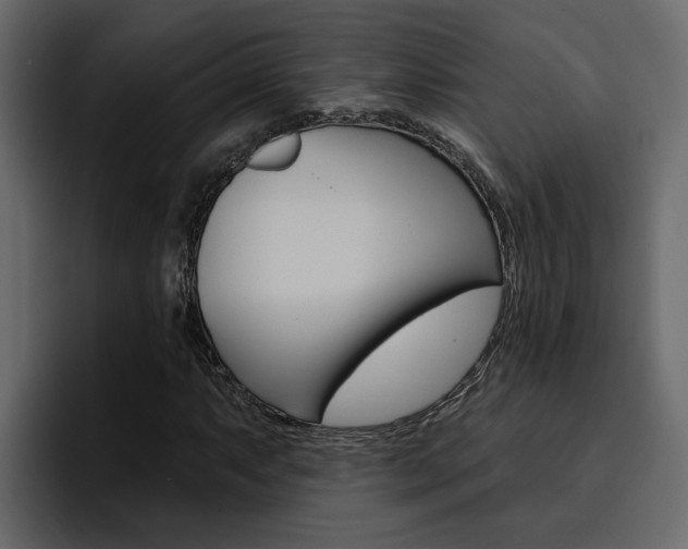 X0000095551063200712140931