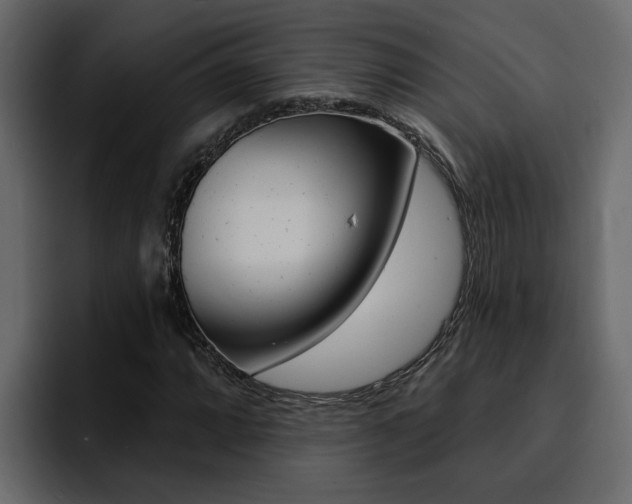 X0000095551064200712140931