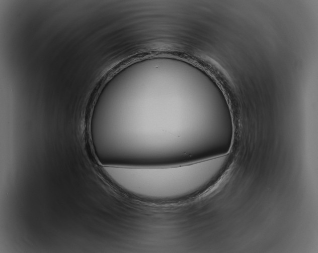 X0000095551065200712140931