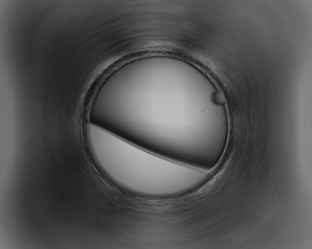 X0000095551066200712140931