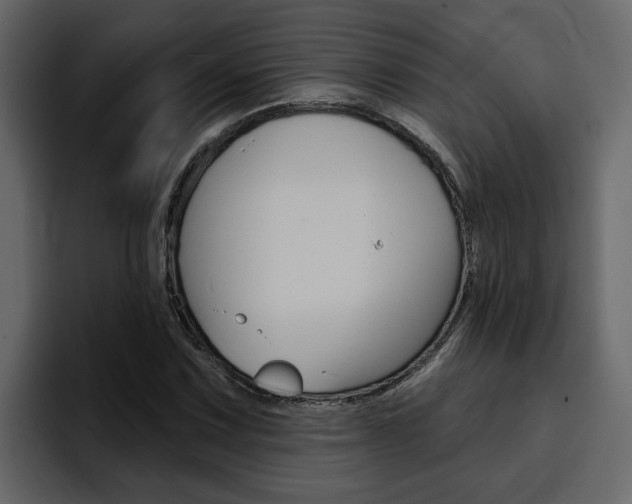X0000095551067200712140931