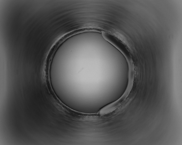 X0000095551068200712140931