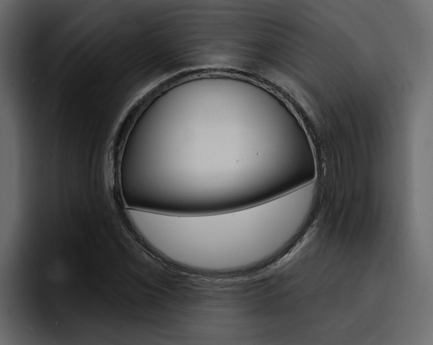 X0000095551069200712140931