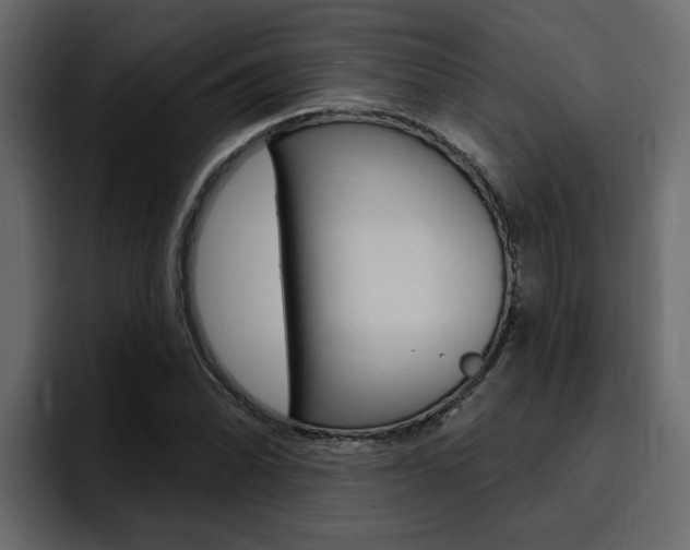 X0000095551070200712140931