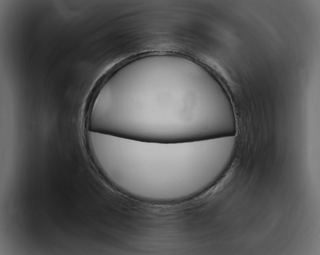 X0000095551071200712140931